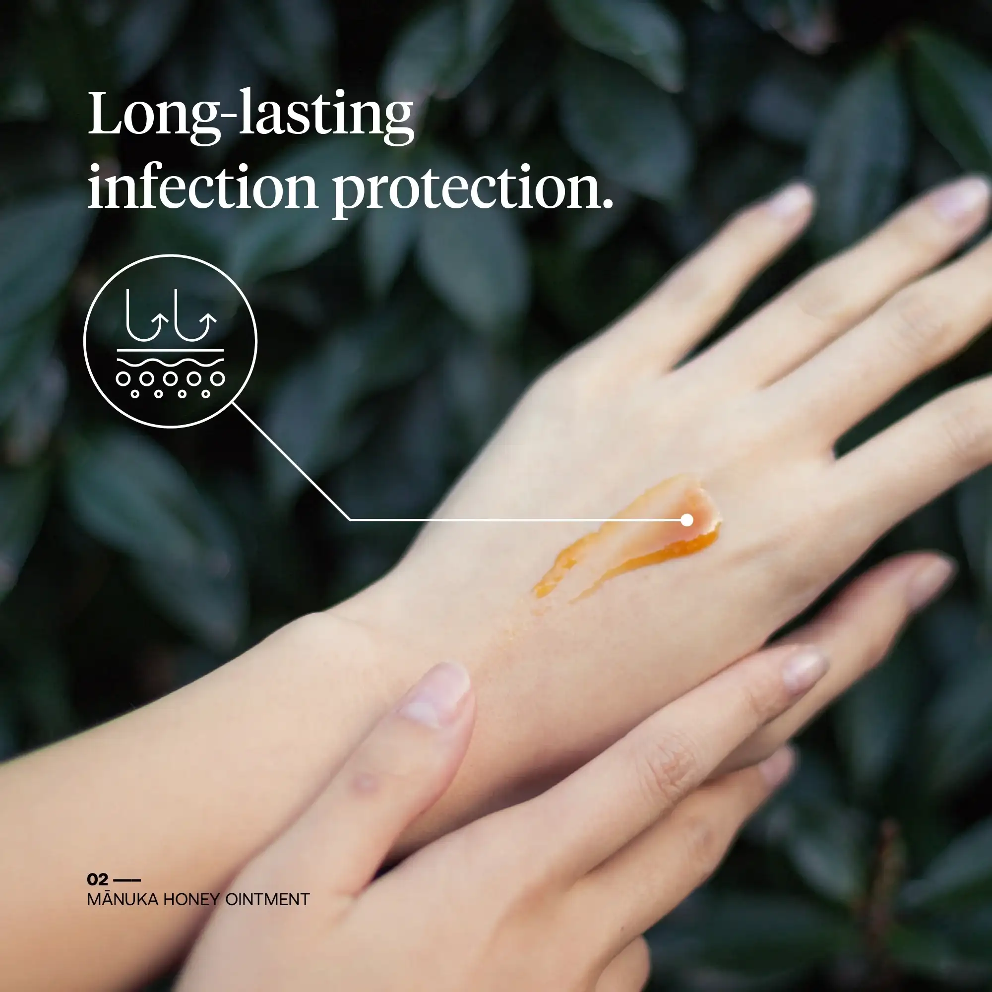 First Honey Sterile Manuka Honey Ointment First Aid Wound Care - Image 3